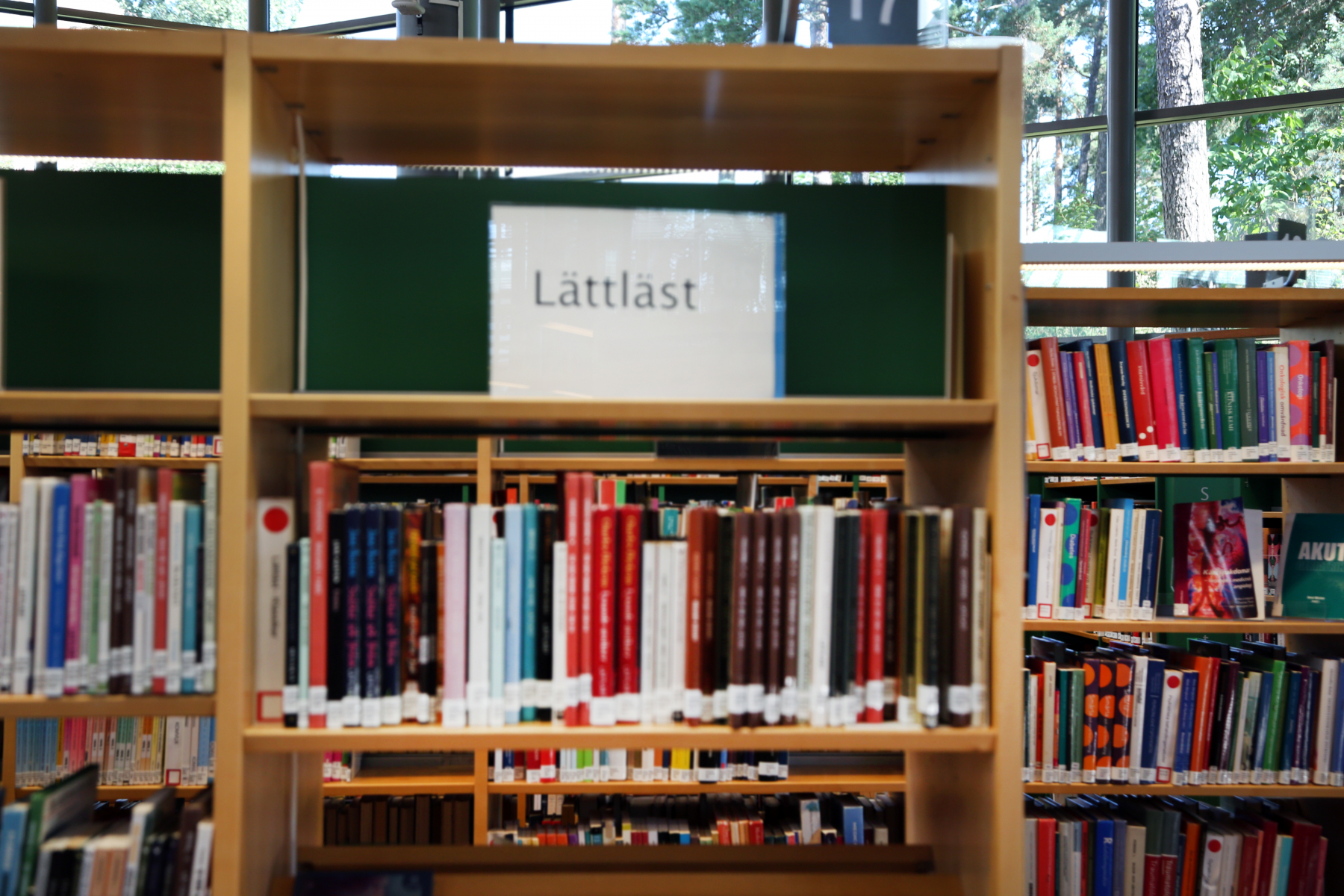 Hylla med böcker. Överst står det lättläst.