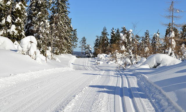nydragna skidspår, både för skate och klassisk åkning. En vacker vinterdag med mycke tnsö i träden