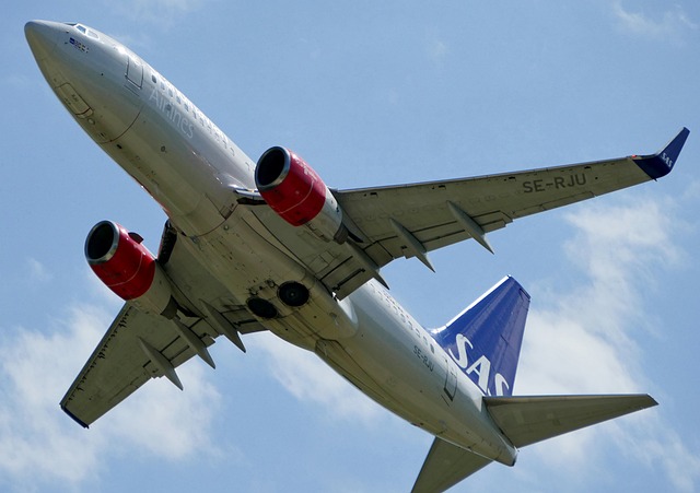 Ett vitt flygplan sedd underifrån. Motorerna vid vingarna är röda. Stjärtparitet är blå med SAS i vita bokstäver.