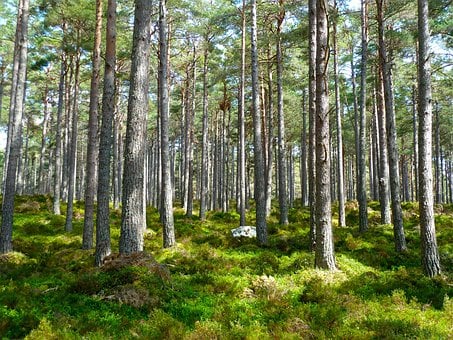 Ållateatern