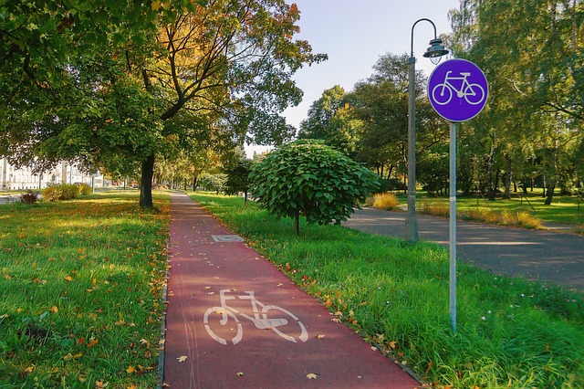 En cykelväg med ritad cykel i vitt. En blå skylt med vit cykel visar också att de tär cykelväg. Träd på sidorna.