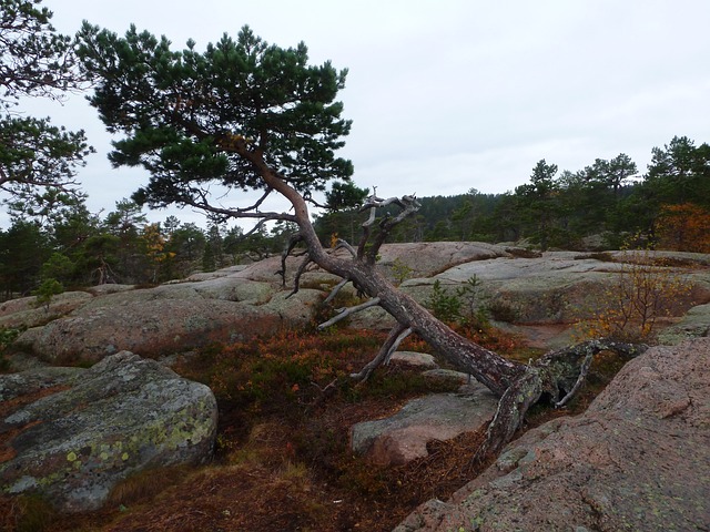 Nya vägen till Entré Syd