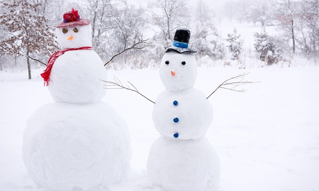 vå snögubbar med hatt och halsduk. Träd i bakgrunden.