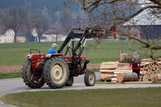 Traktor som lastar av stockar. En person står på backen och staplar ved.